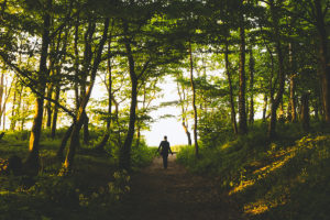 Femme seule marchant en forêt et lumière rasante